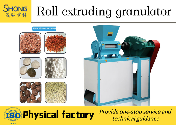 Dry Process NPK Fertilizer Making Plant Different Sizes Oval Granules 100 T/H