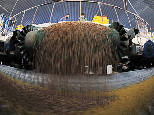 Lorsque l'équipement de la ligne de production de granulés en poudre d'engrais organiques produit 1 tonne à 20 tonnes par heure