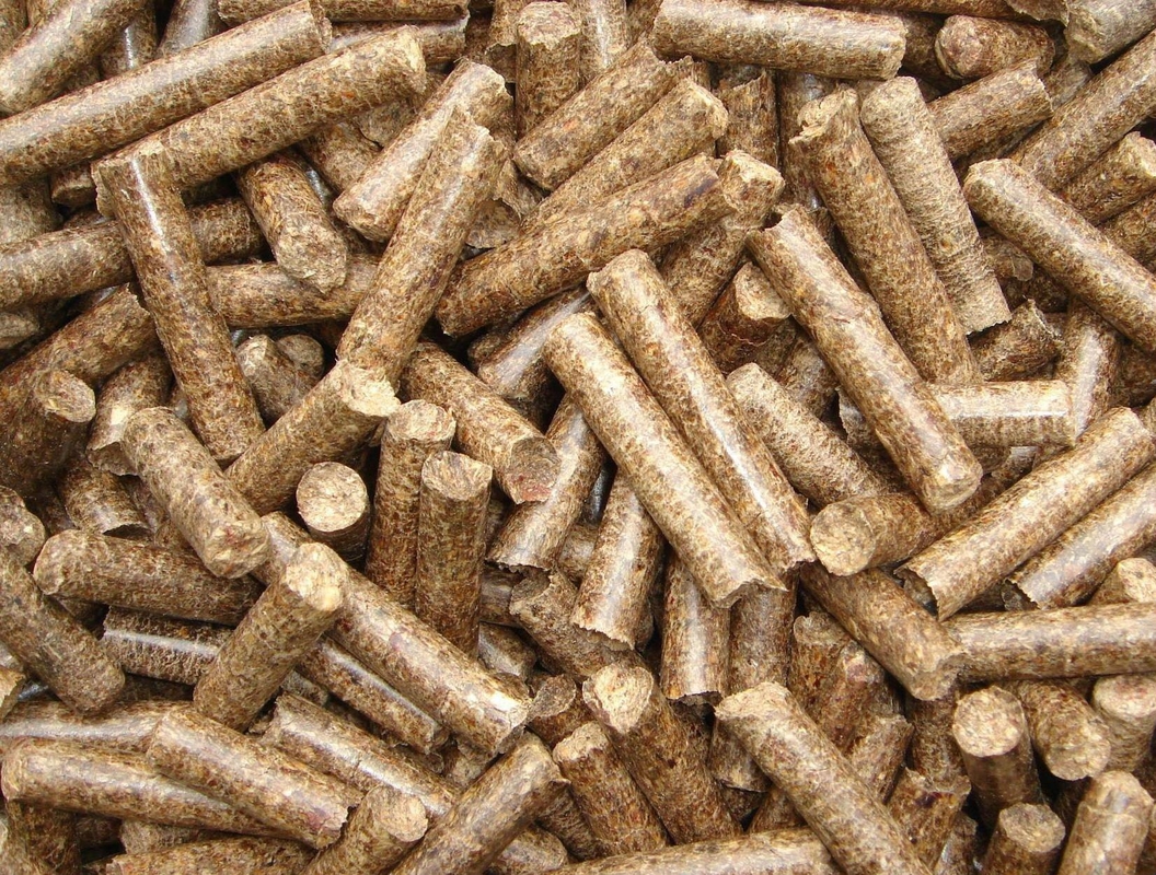 Appareil à granulés d'engrais organiques SHH-400 engrais sphéroïdisant pour une sphéroïdisation écologique